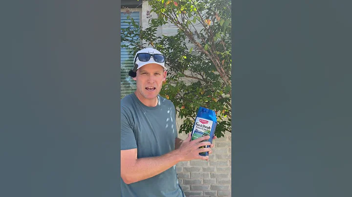 Do THIS to protect from insect damage! #lawncaretips #tree