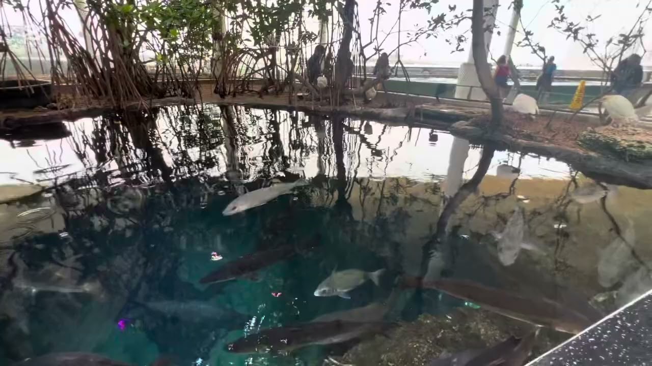 Phillip & Patricia Frost Museum of Science