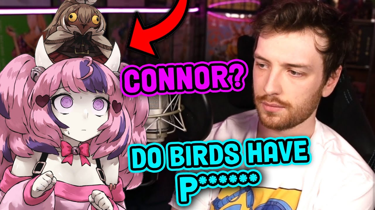 CDwagVA asks ironmouse If Birds Have Private Parts