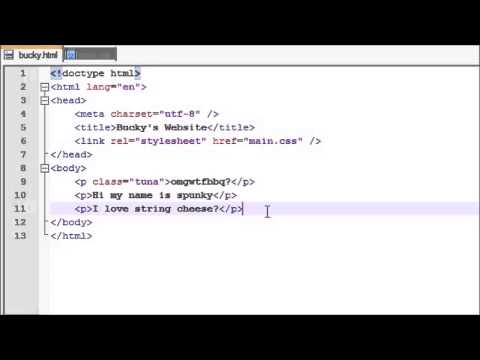 HTML5   5   Attribute Selectors