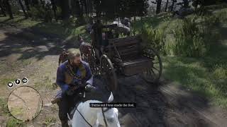 Red Dead Redemption 2 | Random Encounters | Lost New Yorker