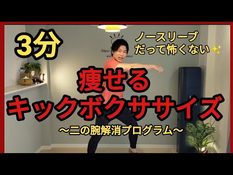 【効率良く3分ダイエット】誰でも簡単に痩せれるキックボクササイズ！〜痩せるストレス解消メニュー〜