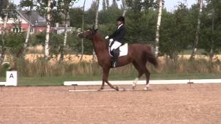 20140809 Bogø Distriktsstævne La1A