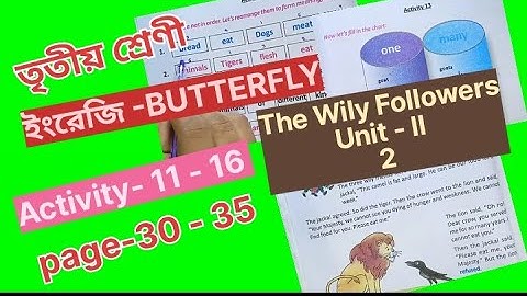 Class 3 Englis//The Wily Followers 2 Activity 11-16 Page 30-35 @primaryschooleducation34
