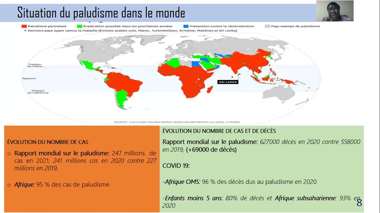 Stratégies de lutte contre le paludisme en Afrique
