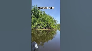 Went on a adventure ! Gopher tortoise hanging out . #kayaks #reptiles