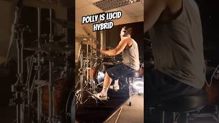 POLLY IS LUCID - HYBRID #short #shorts