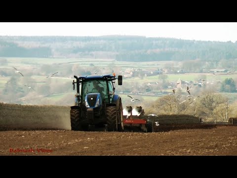 Ploughing the Old Beet Land   New Holland action