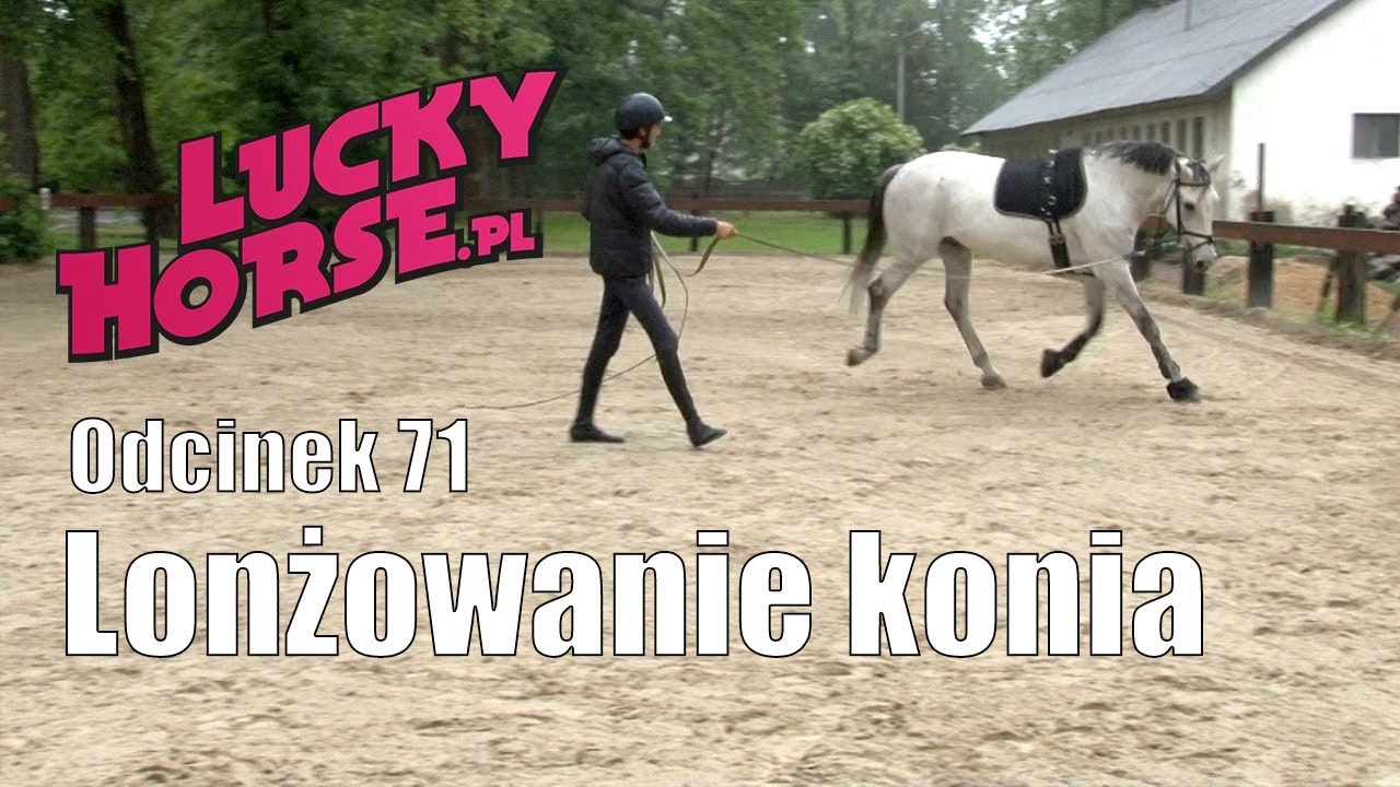 Porady LuckyHorse.pl - odc.71 - Lonżowanie konia