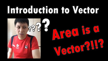 Introduction to Vector | Area is a Vector?!? - IB Physics Chapter 1.3 (Part 1)