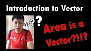 Celebrity Introduction to Vector | Area is a Vector?!? - IB Physics Chapter 1.3 (Part 1) Profile