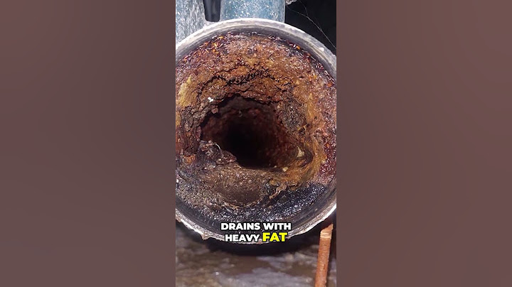 What are drain flies? #drainagesolutions