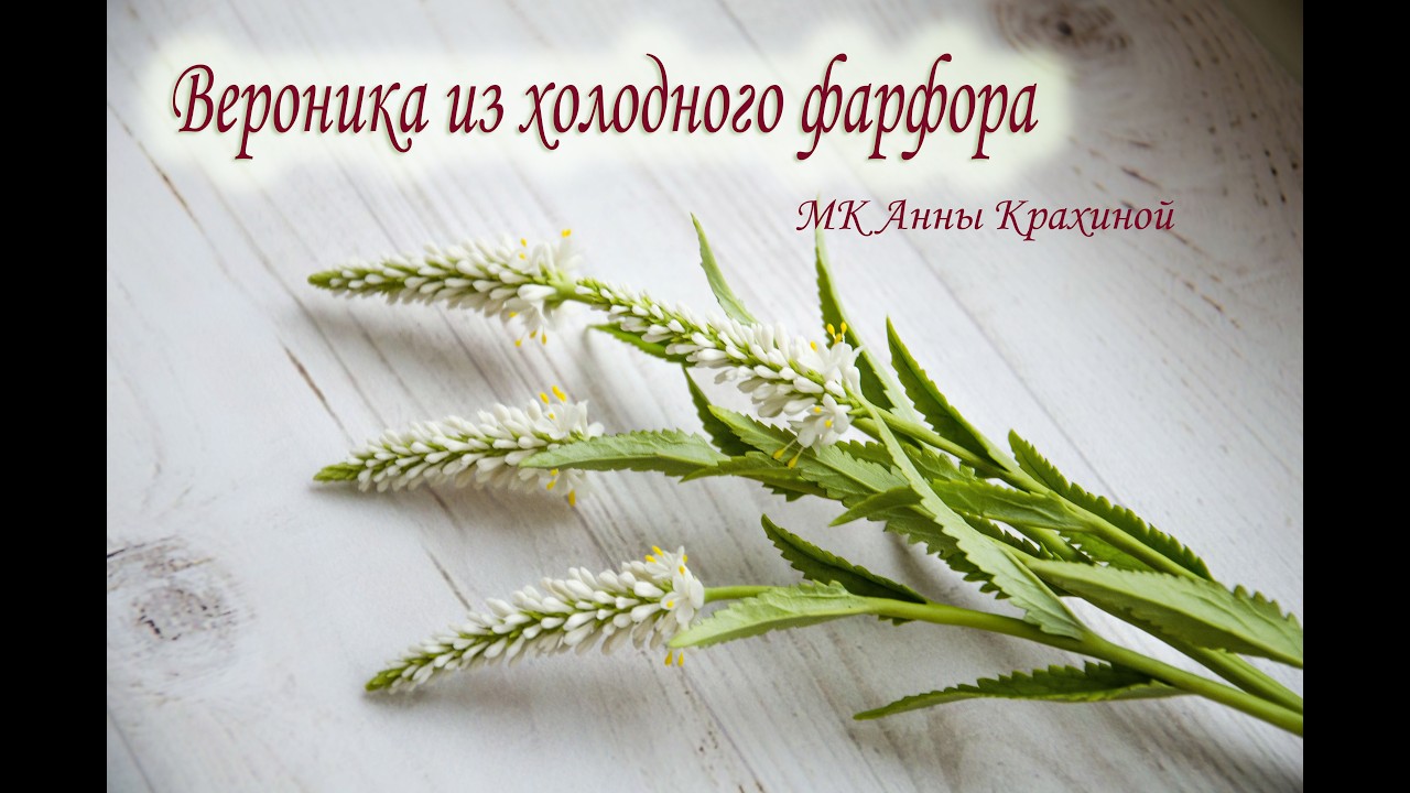 Вероника из холодного фарфора  МК Анны Крахиной
