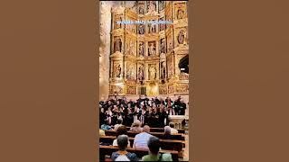 🙏🏻De , ' Los Amigos '🫂San Sebastián, España 🇪🇸💐🧎.