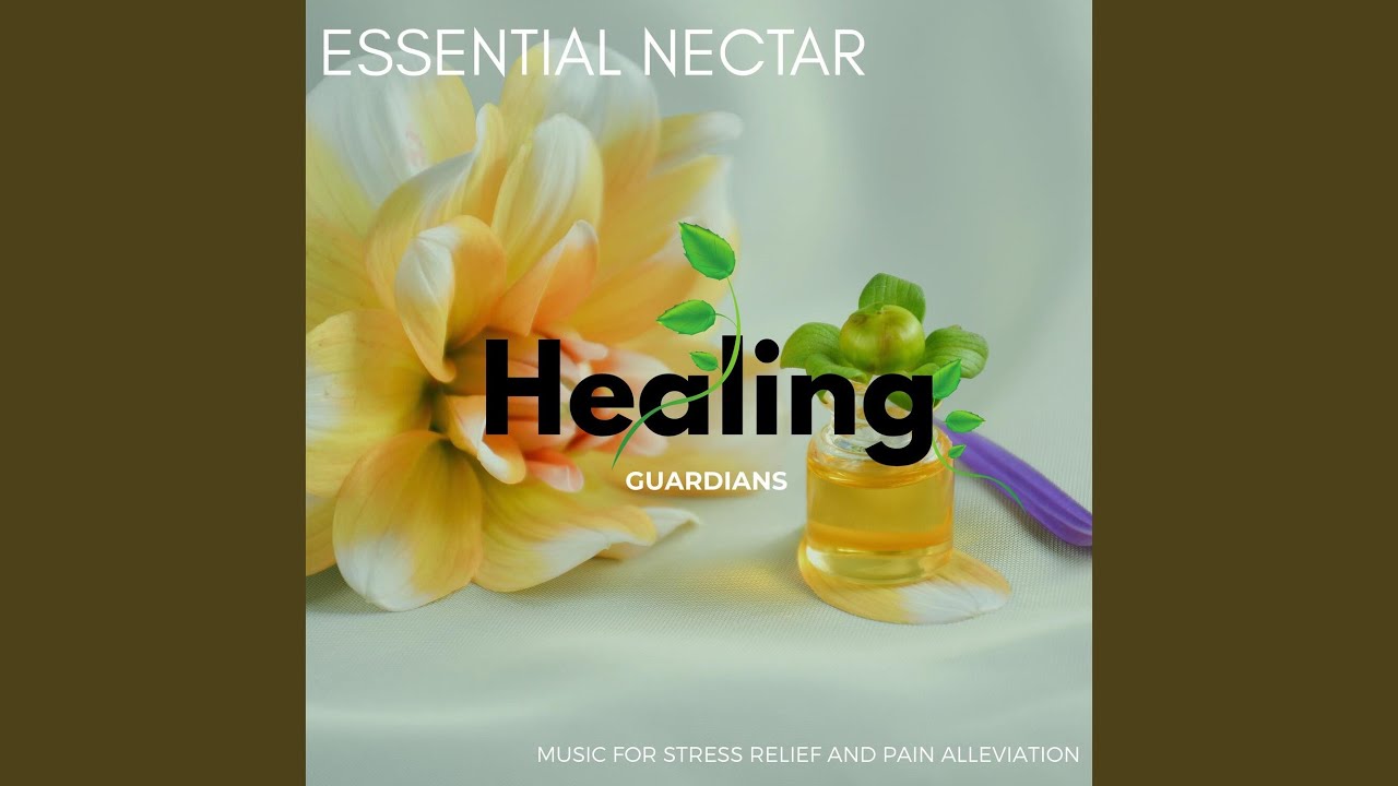 Dark Shadow adlı videoyu YouTube'da izle Dark Shadow adlı videoyu YouTube'da izle