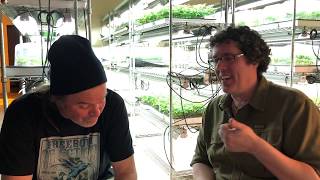 The Kevin Jodrey Sessions #2 - Advice for Summertime Home Growers