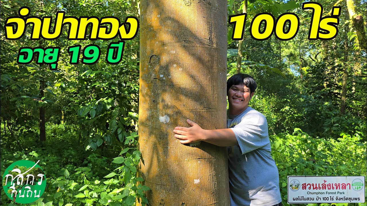 สวนเล้งเหลา สวนป่าในสวนผลไม้ 100 ไร่ อ.ท่าแซะ จ.ชุมพร