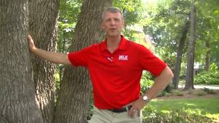 Belk Builders You Tube Channel Trailer