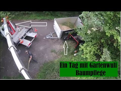 "ich-dachte-es-gibt-arbeit-für-den-ganzen-tag"--;)---mertens-beim-gartenwulf-|-baumpflege-mertens