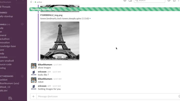 Artificial intelligence Google Cloud Image Processing and NLP