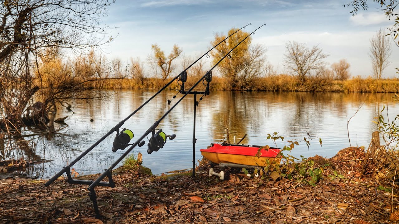 ULTIMA PARTIDĂ LA CRAP DIN SEZON – O ÎNCHEIERE REUȘITĂ PE RÂUL NISTRU!