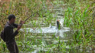 Umpan Gacor Bertarung dengan Spot Setrum ???? 