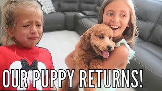 EMOTIONAL REUNION with our PUPPY! | Our Puppy Returns Back Home