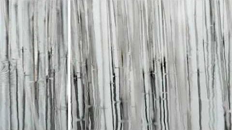 Carol Sharp - Transition Collection