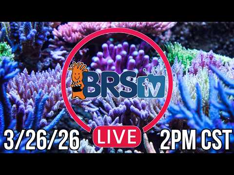 Brstv Live Reef Tank Q&a 3/26/26 2pm Cst