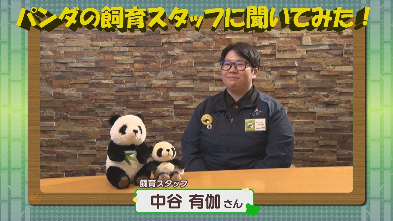 『パンダの飼育スタッフ 「中谷さん」のパンダとの思い出』 アドベンチャーワールドのパンダたち  #6 【BS11】