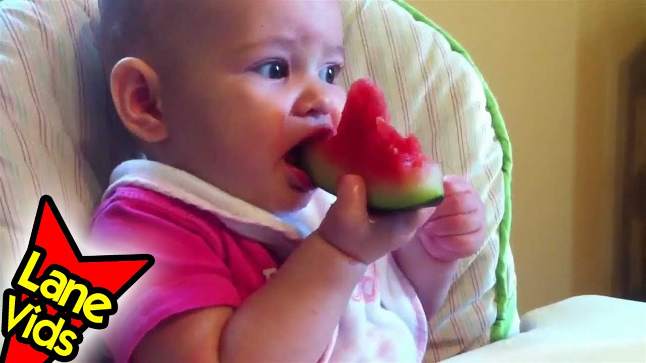 WATERMELON BabyLed Weaning 33 TheFunnyrats YouTube