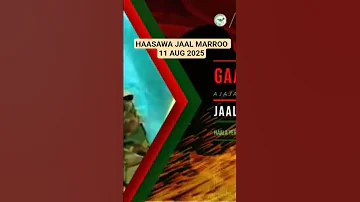 Haasawa Jaal Marroo 