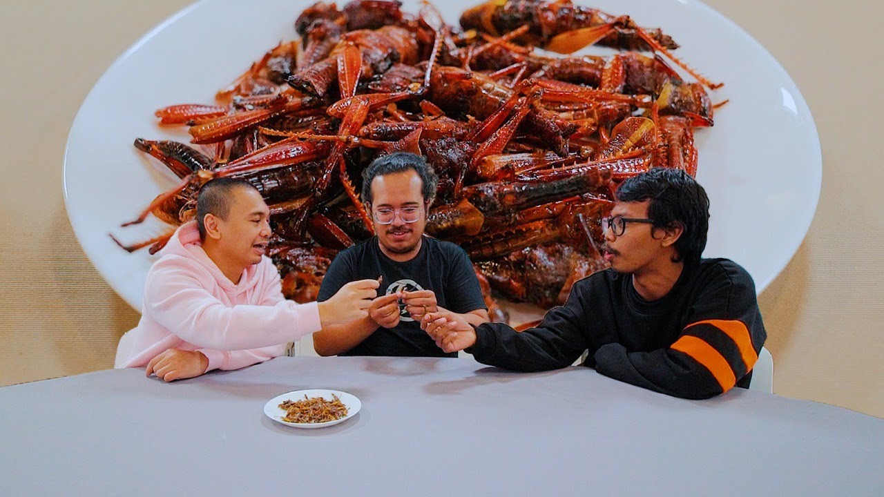 Perang Belalang! Mencari yang Terenak!