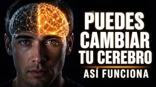Cómo Tu Cerebro Aprende y Se Transforma (El Secreto de la Neuroplasticidad) | Documental
