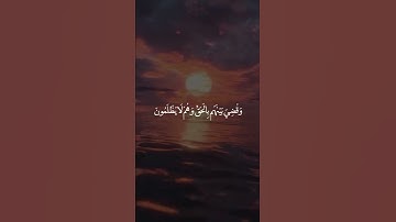 تلاوة هادئة للشيخ ماهر المعيقلى - من سورة الزمر - راحه نفسيه