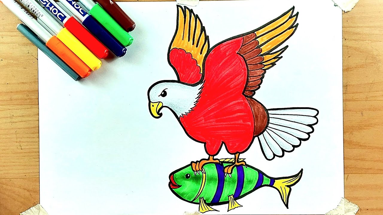 Рисунок и раскраска орла || Рисунок орла 🦅😍