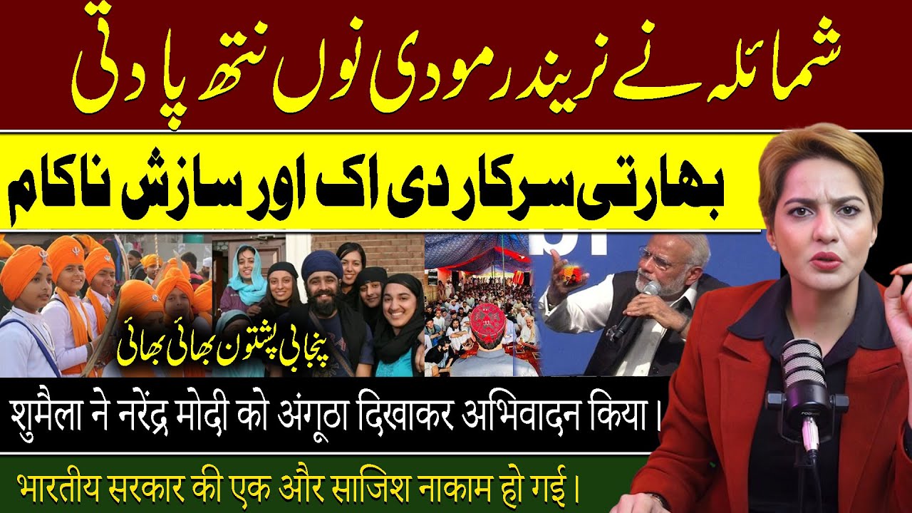 Punjabi Pashtun Bhai Bhai -  Shumaila Ne Narendra Modi Nu Nath Pa Deti