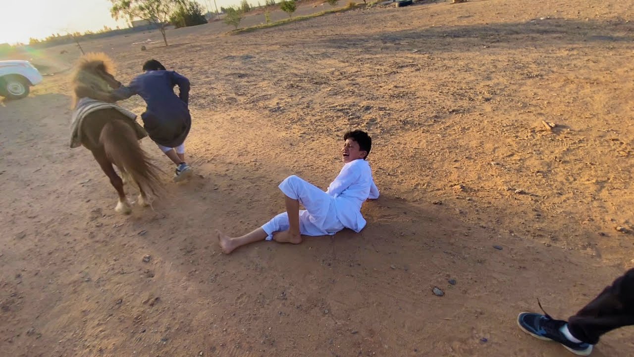 تحدي التحمل /وعبود طاح من الحصان 😓💔