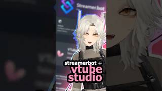 How To Connect Streamer.bot to Vtube Studio