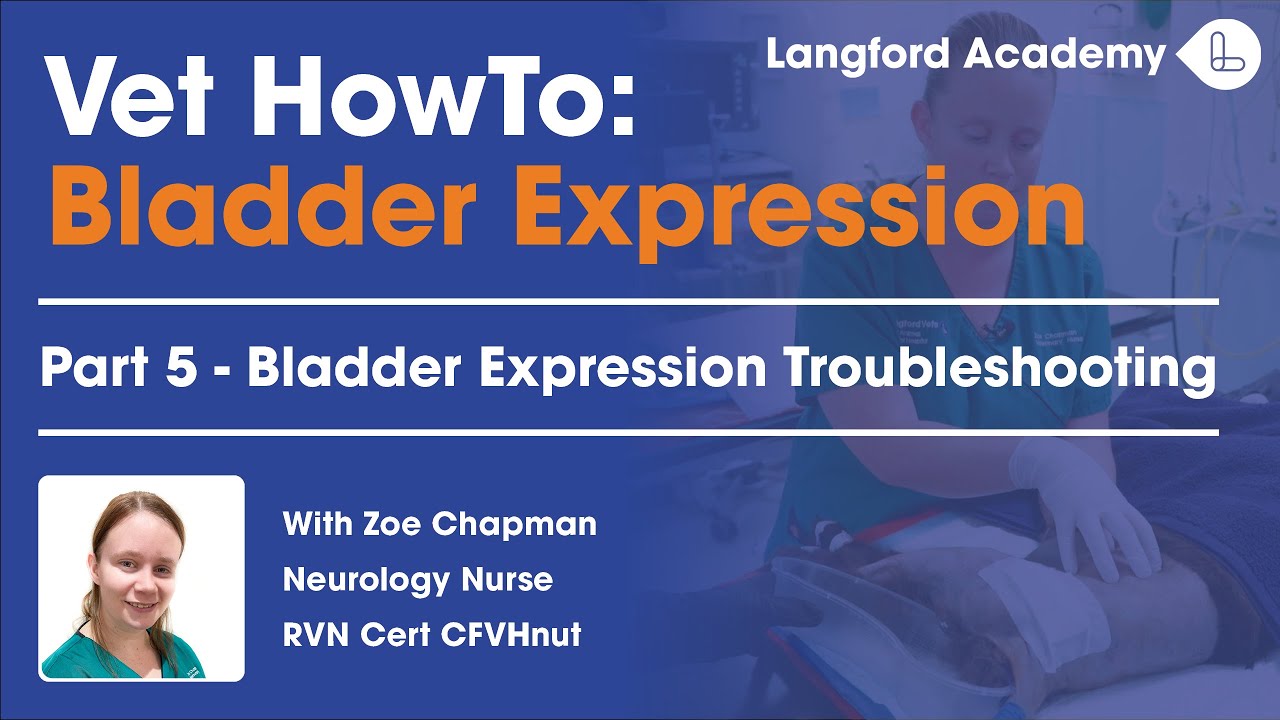 Как устранить неполадки с мочеиспусканием