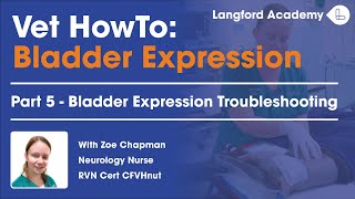How to Troubleshoot Bladder Expression