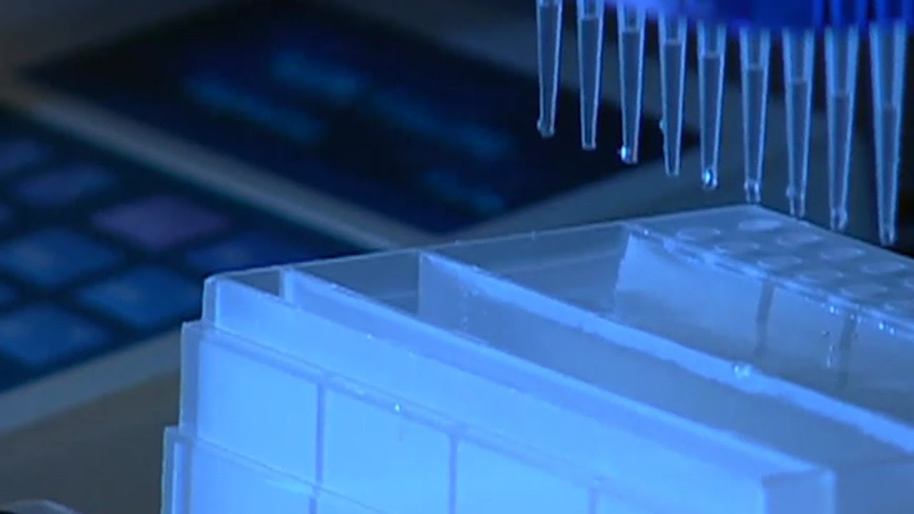 DNA test helps crack cold murder case - YouTube