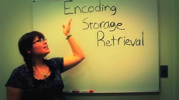 Learning and Memory: A Brief Introduction