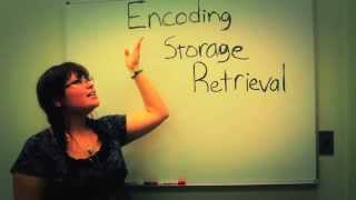 Learning and Memory: A Brief Introduction