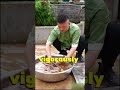 They Threw This on the Ground… Then Made a Delicacy 😳
