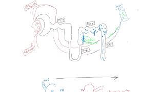 Diuretics Part II: Reducing Volume