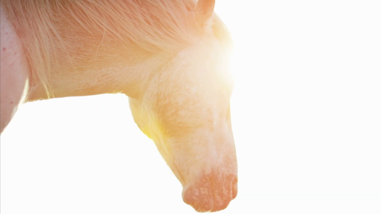 WOODEC COLLECTION - Sabbia