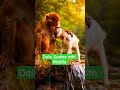 Daily Quotes with Wildlife #quotesaboutlife #quotesoftheday #wildlife #wildlifeshorts #wildlives