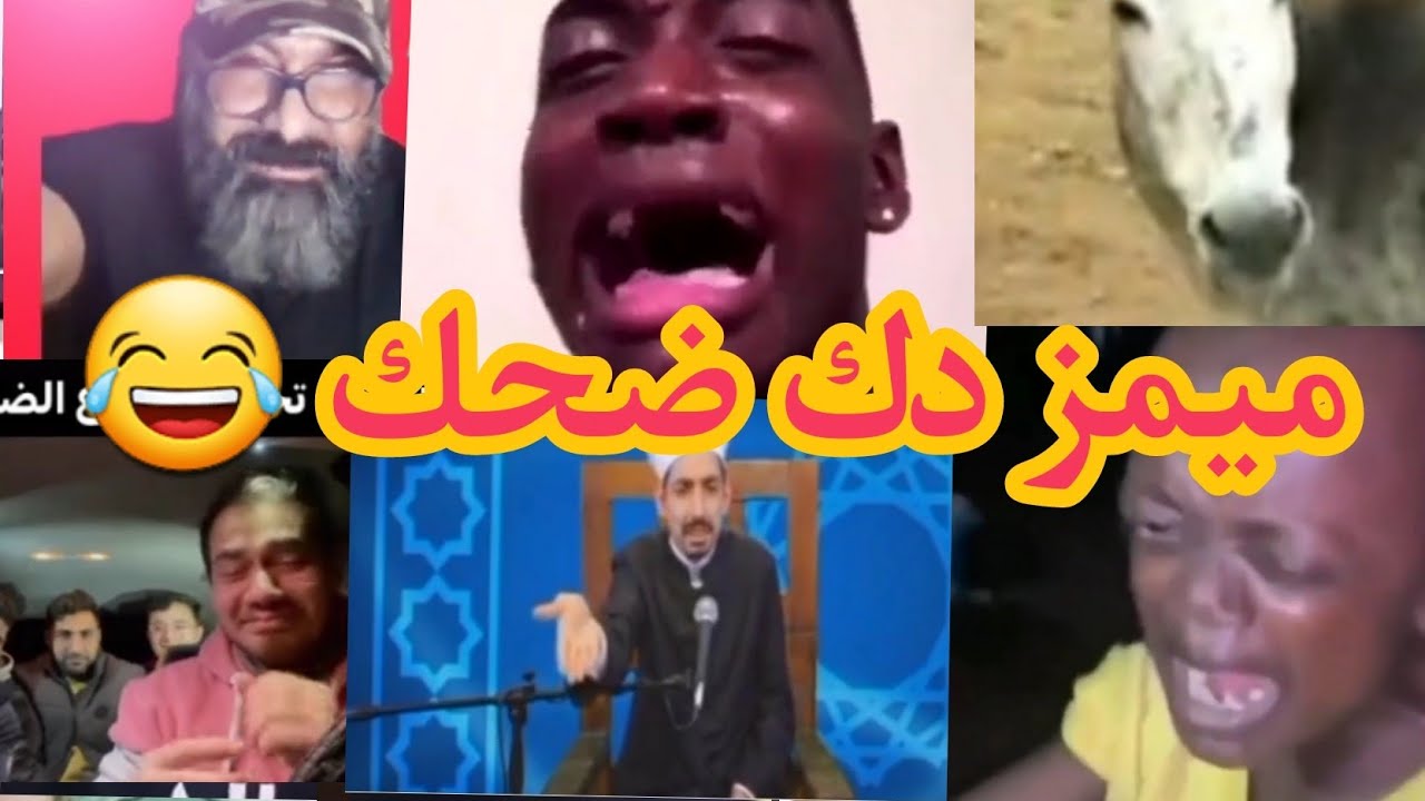 ميمز يخبل شاهد المقطع يموت ضحك ??#تحشيش#تحشيش_عراقي