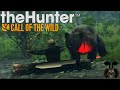 Bows, Bears and Burritos! Pop-up Grizzly Hunting! The Hunter Call of The Wild